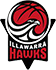Illawarra Hawks(W)
